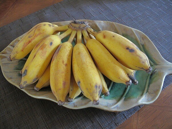 tại sao đau dạ dày không nên ăn chuối