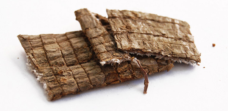 Đỗ trọng là vị thuốc có tác dụng mạnh gân xương