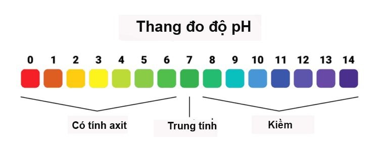 dung dịch vệ sinh phụ nữ tốt nhất