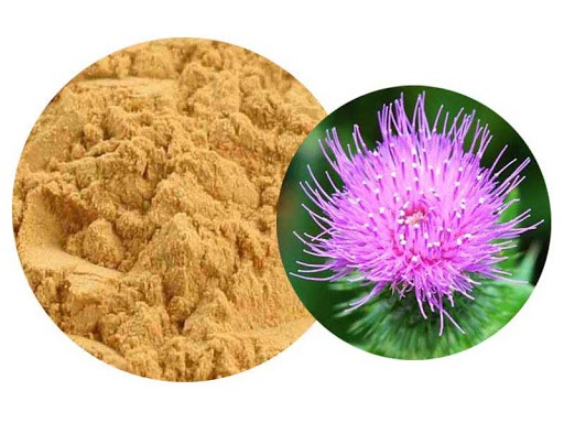 gan nhiễm mỡ uống gì