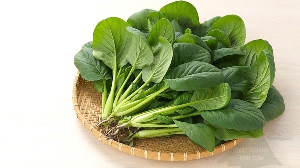 gan nhiễm mỡ nên ăn gì 