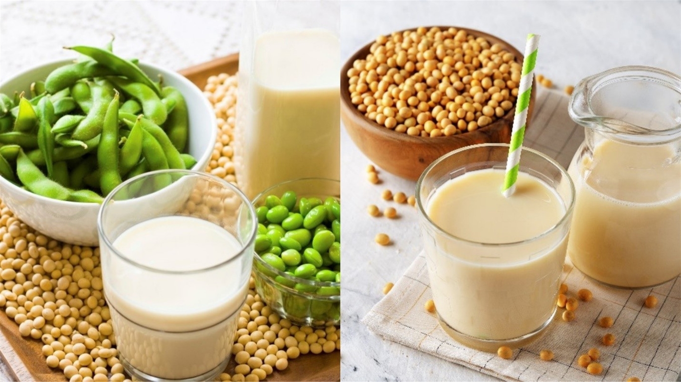 gan nhiễm mỡ nên ăn gì 