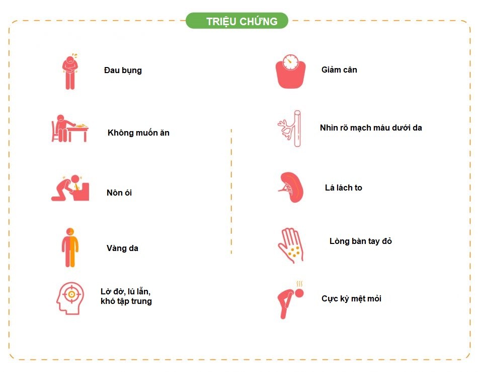 gan nhiễm mỡ có mấy cấp độ