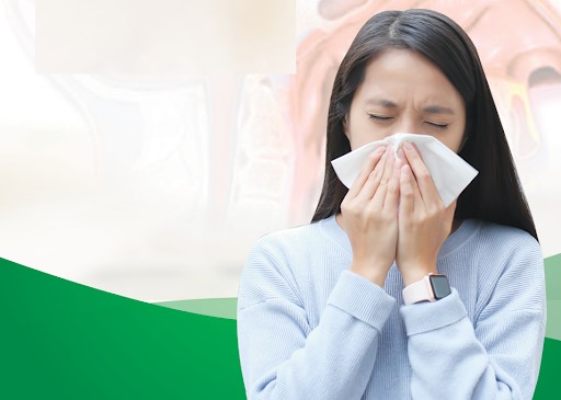 hắt xì sổ mũi liên tục