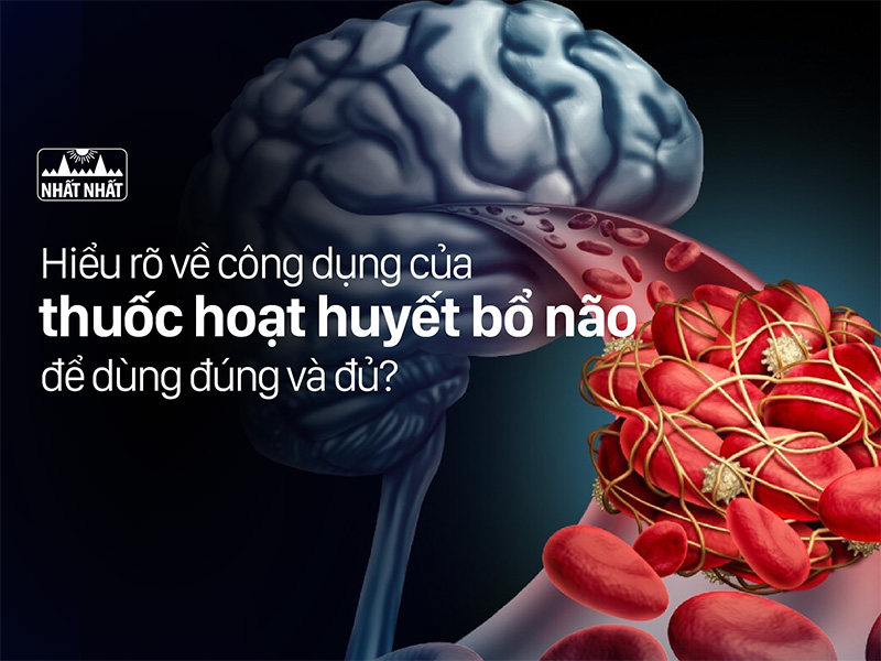 Thuốc hoạt huyết bổ não 