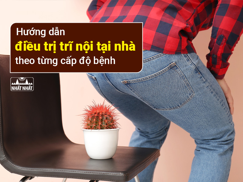 Bệnh trĩ nội hình thành do đám rối tĩnh mạch giãn ra bên trên đường lược