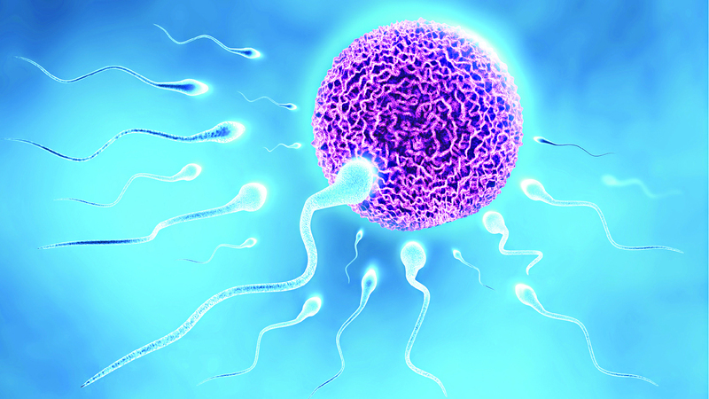 Kẽm có ảnh hưởng đến khả năng di chuyển của tinh trùng