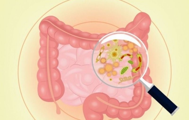 loạn khuẩn đường ruột ở trẻ