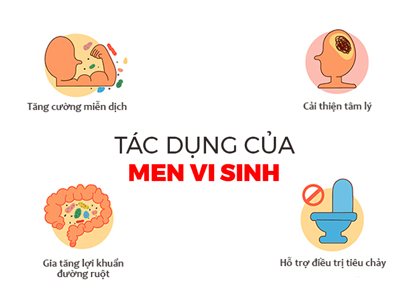 Tác dụng của Men vi sinh