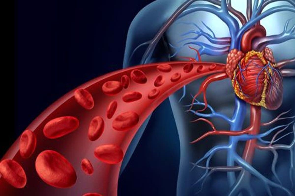 máu lưu thông kém