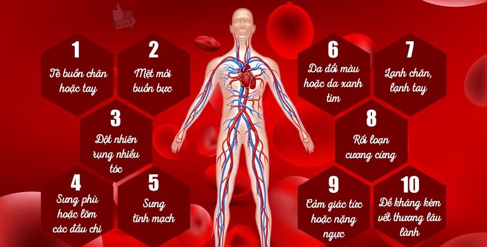 máu lưu thông kém