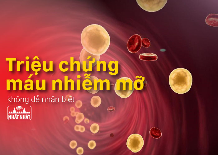 triệu chứng bệnh máu nhiễm mỡ