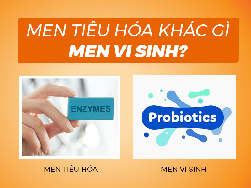 Men tiêu hóa khác men vi sinh thế nào ?
