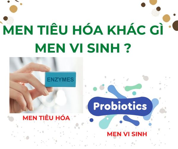 Men tiêu hóa khác gì men vi sinh