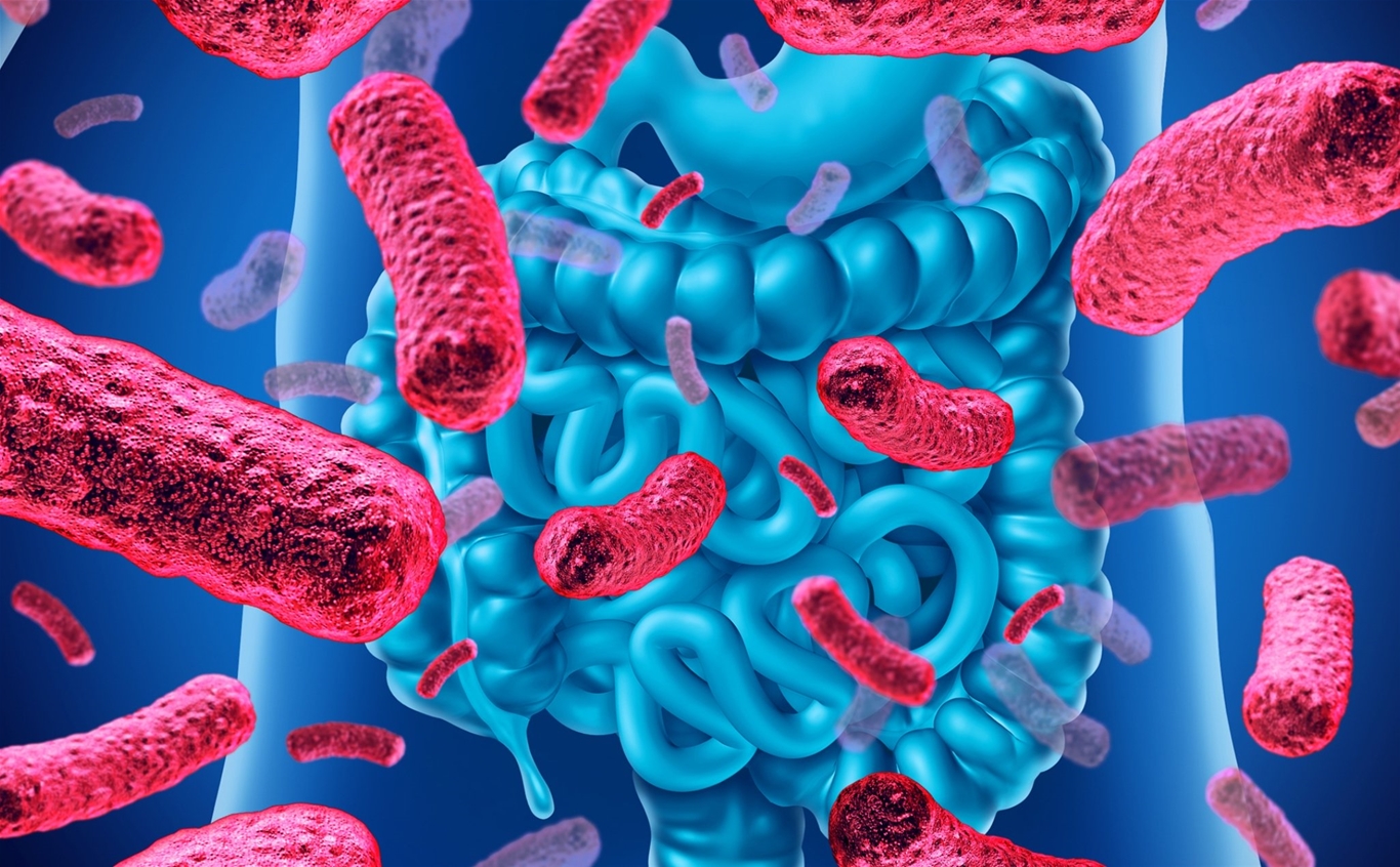 bổ sung men vi sinh