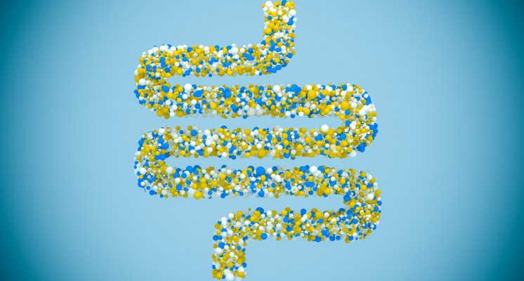 các loại men vi sinh 