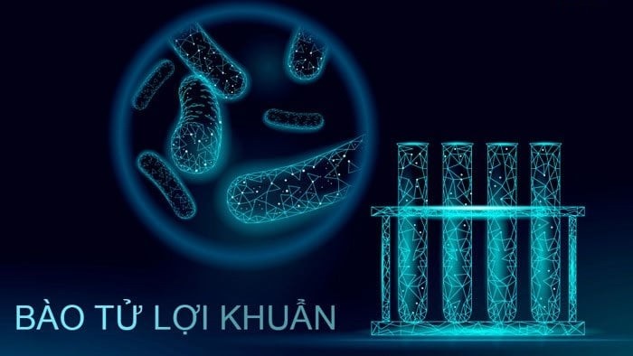 các loại men vi sinh 