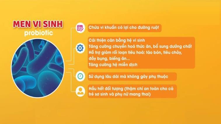 Men vi sinh giúp thiết lập cân bằng vi sinh đường ruột
