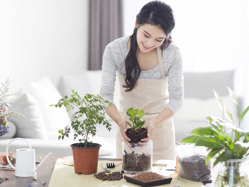 cơ thể mệt mỏi chán ăn