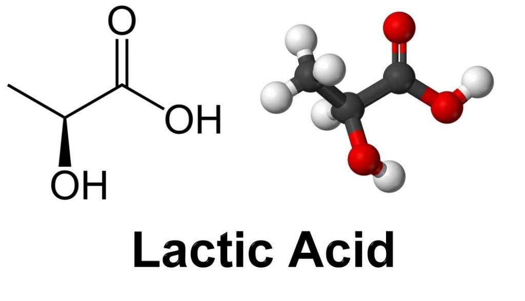 Muỗi rất “thính” với mùi acid lactic, amoniac