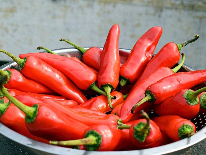 nghẹt mũi nên làm gì