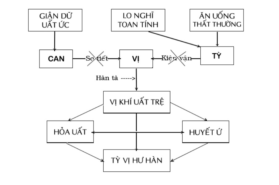 Nguyên nhân gây viêm dạ dày – tá tràng theo Y học cổ truyền