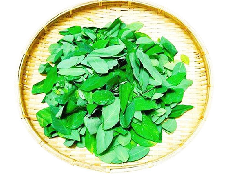 nhiệt miệng là gì