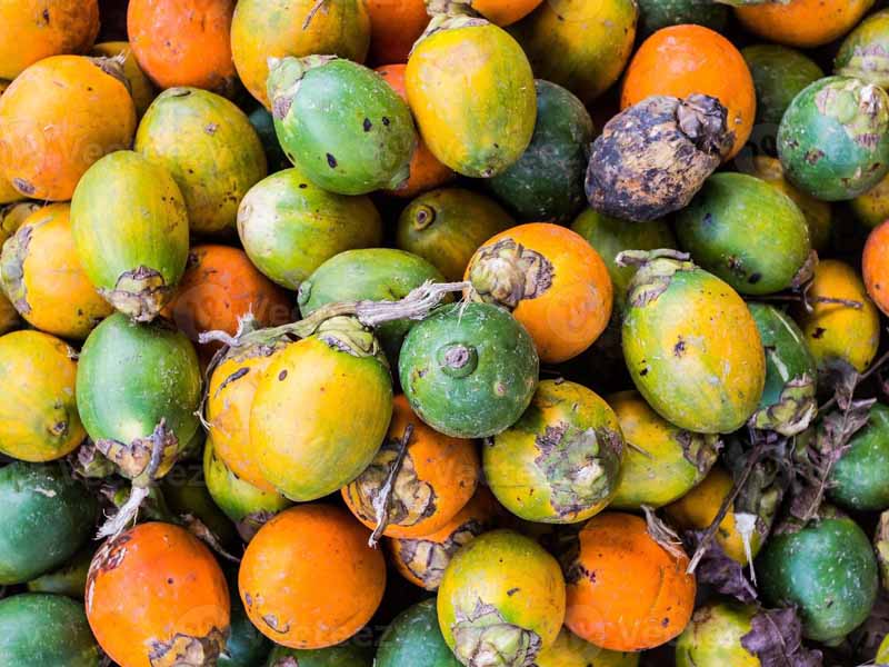 nhức răng làm sao