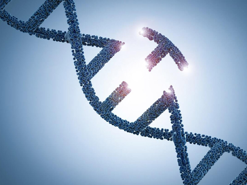 Bệnh trĩ có di truyền không