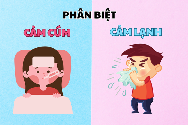 Phân biệt cảm cúm và cảm lạnh để điều trị kịp thời
