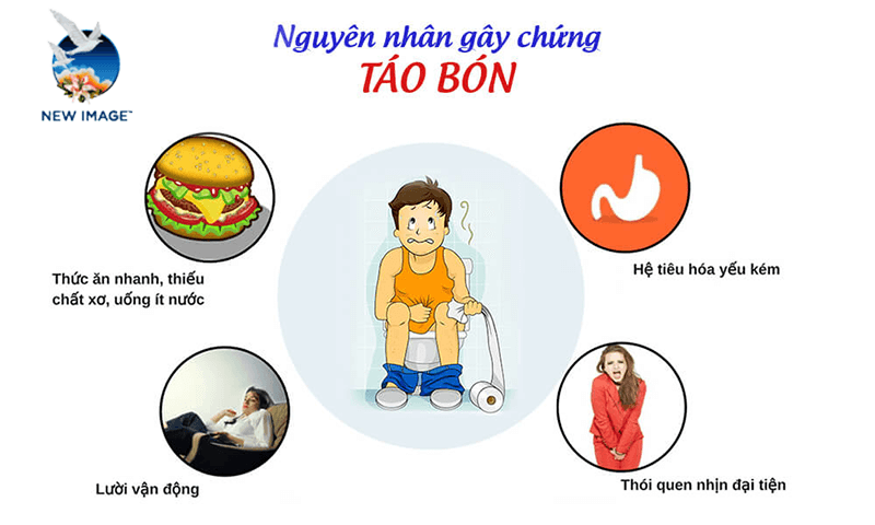 Rất nhiều nguyên nhân có thể gây táo bón