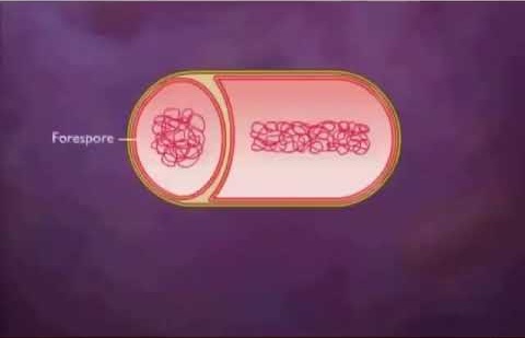 uống men tiêu hóa