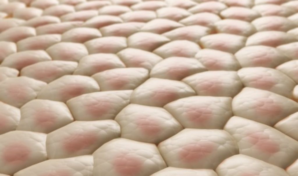 Cải thiện sắc tố da - melanin