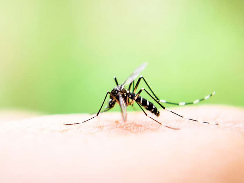 bé sốt cao không hạ