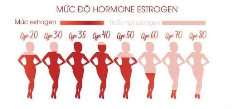 Sự suy giảm nội tố nữ estrogen theo thời gian