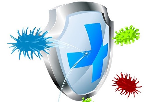 sức đề kháng kém phải làm sao