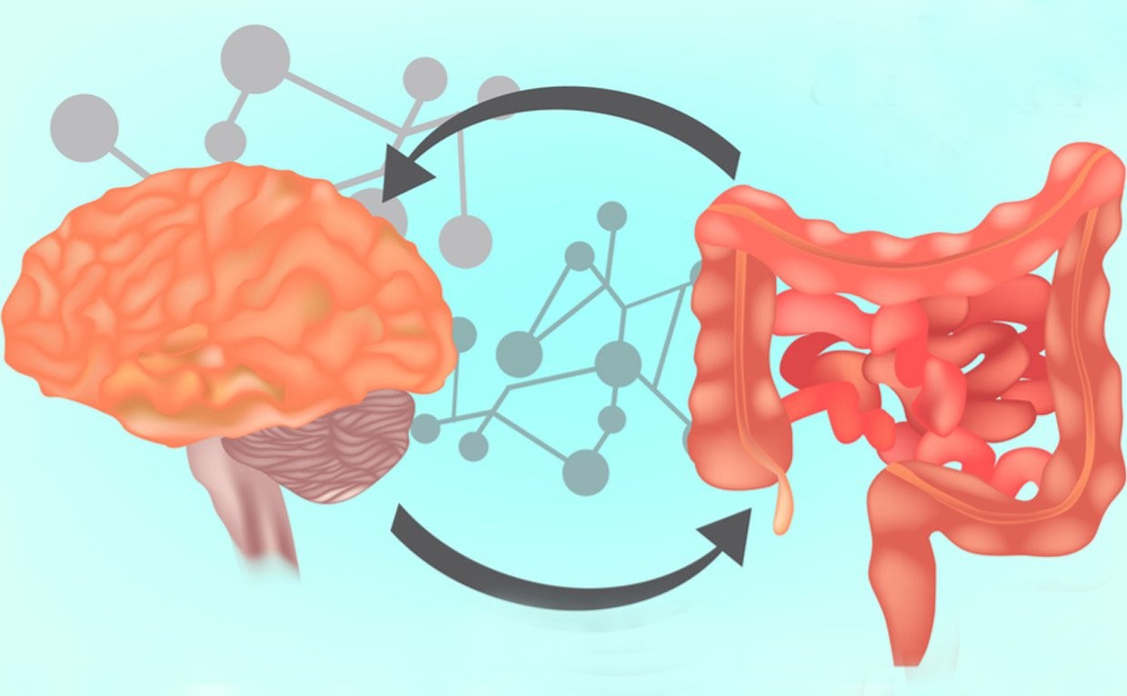 Sức khỏe đường ruột có mối quan hệ mật thiết với sức khỏe não bộ