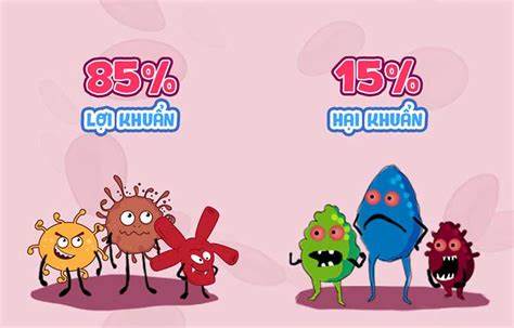 Tái lập cân bằng vi sinh đường ruột góp phần cải thiện táo bón