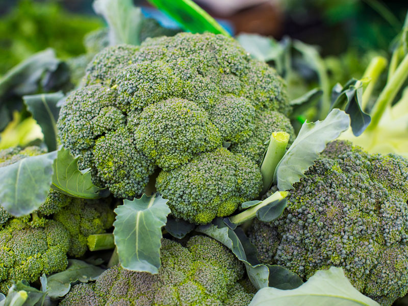 tăng sức đề kháng cho bà bầu