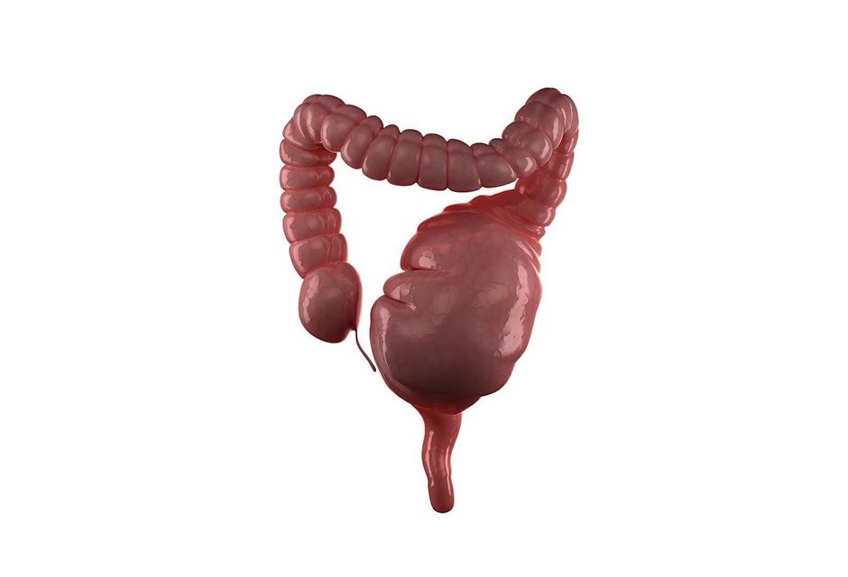 Táo bón kéo dài khiến phân khô cứng, phải rặn mạnh khi đi đại tiện