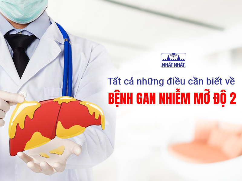 Tìm hiểu những thông tin về bệnh gan nhiễm mỡ độ 2