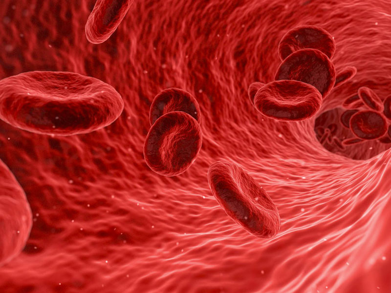 Chân tay lạnh là biểu hiện bệnh gì