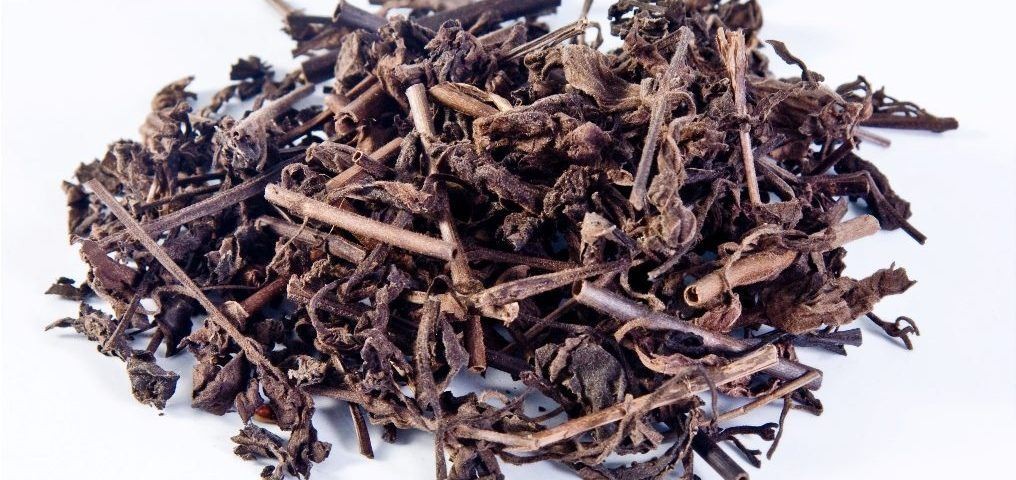 thảo dược mát gan