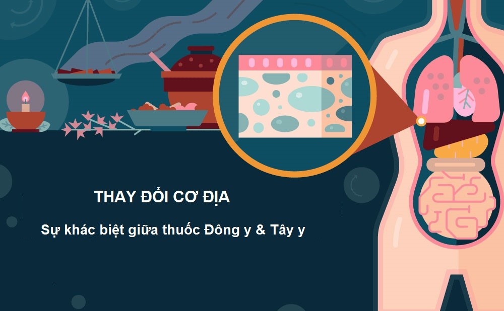 thuốc Đông y so với Tây y