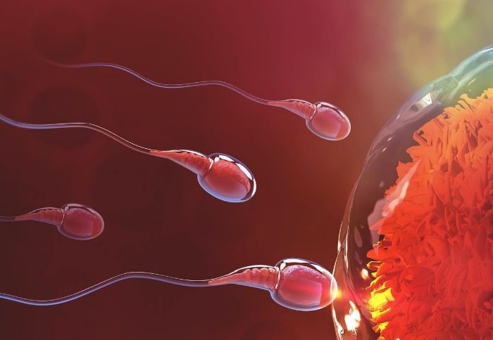 Thiếu kẽm ở nam giới 