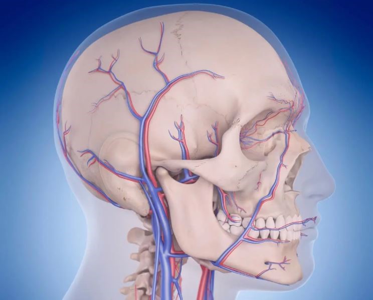 thiếu máu lên não có biểu hiện gì