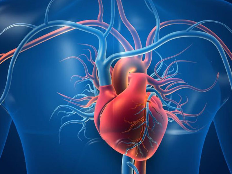 Thiếu máu lên não phải làm sao