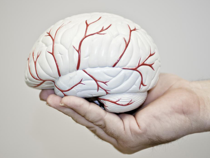 Thiếu máu lên não phải làm sao