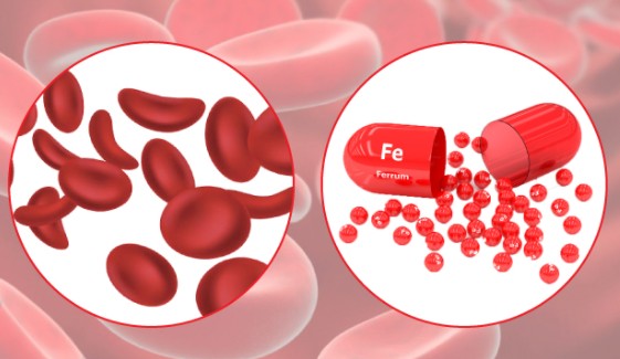 thiếu máu não uống thuốc gì