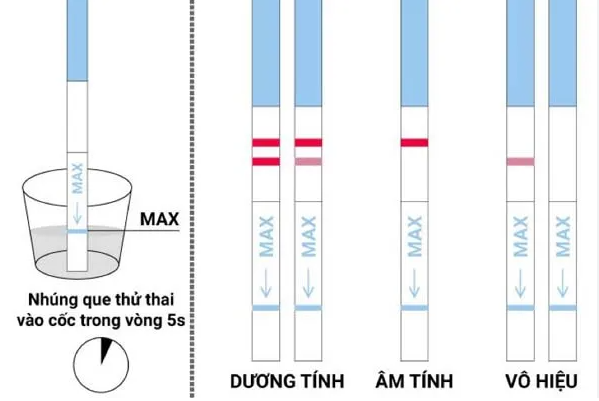 Thử thai tại nhà cho kết quả chính xác đến 99% nếu dùng đúng cách